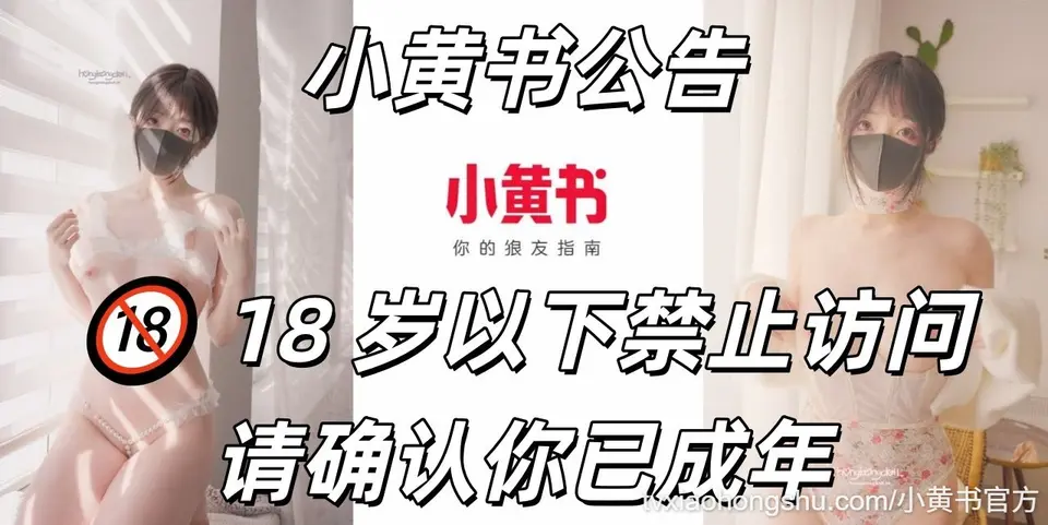 小黄书常见问题指南