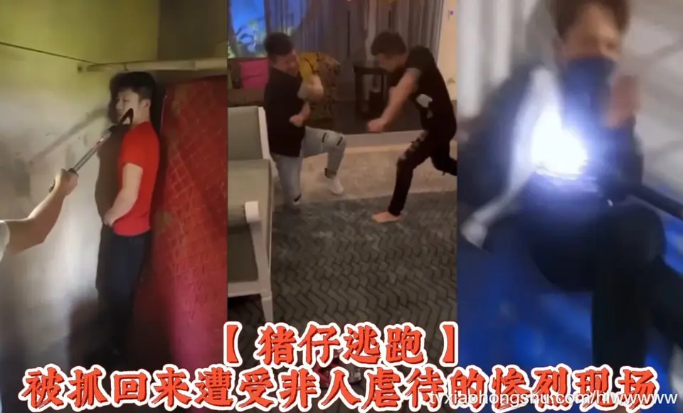 诈骗园区【 猪仔逃跑 】被抓回来遭受非人虐待