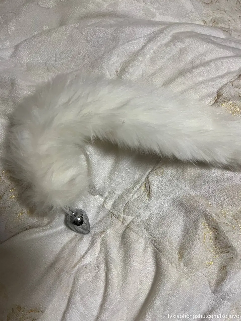 谁想看...?
