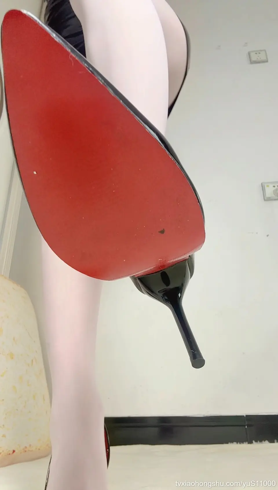小狗滚过来