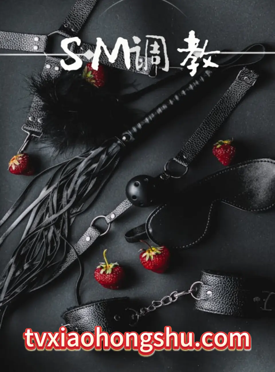 SM调教