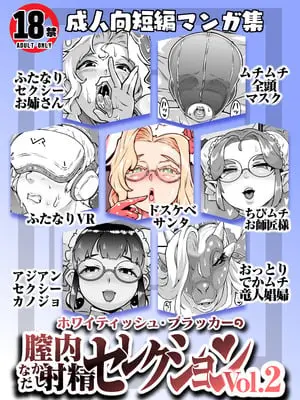[ホワイティッシュ・ブラッカー (ANDO人)] 膣内射精セレクション Vol.2