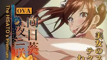 向日葵在夜晚绽放