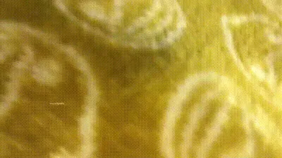 少妇全程高能叫床对白很劲爆_露脸才是王道对白淫荡纹身男与出轨人妻少妇偸情真实自拍 动图预览