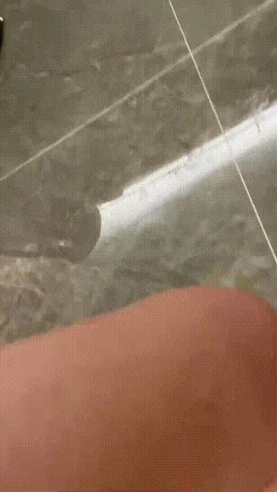 车里小姐姐就流口水!车震狂操开房彻底释放高潮迭起 动图预览