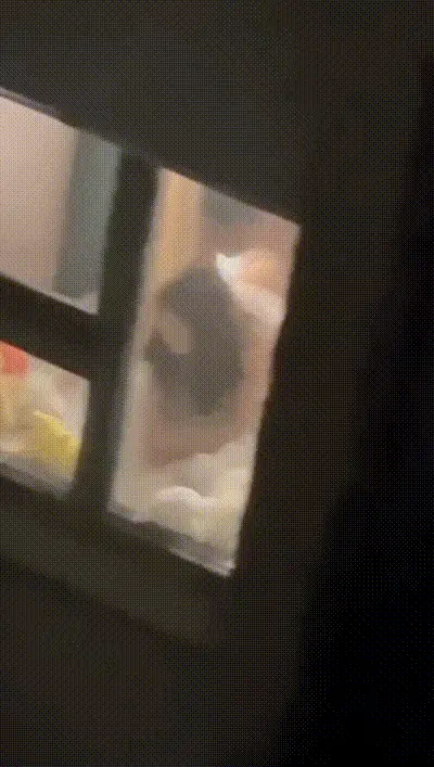 西昌丁家坝 小夫妻七夕在家里面啪啪忘记关窗帘 被有心人偷拍 直播性爱大战 真刺激！ 动图预览