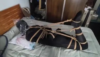 驷马训练，强度适中…