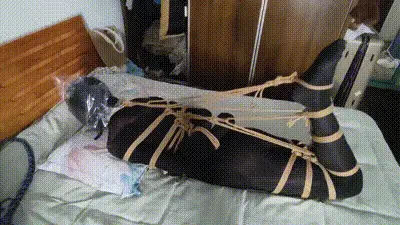 驷马训练，强度适中… 动图预览