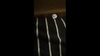 开始是我的女神  后来是我的母狗