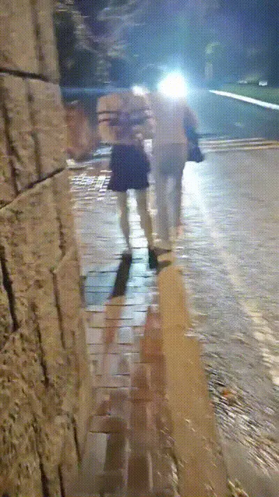 俺的小狗！ 动图预览