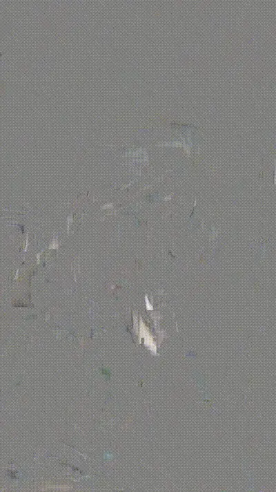 极品反差母狗口爆 动图预览
