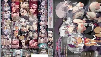 骑士艾琳1st tale 佣兵艾琳的启程、与秘密的兔女郎