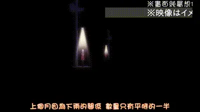 人家一點都不喜歡啦！ 12 动图预览