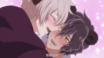 森林裡的熊先生，冬眠中。 9