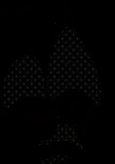 [Zenokidon] Ade: Agent Rabbit(NIKKE)🍀🐇 🎁🎁 ラビットエード(NIKKE)の新作アニメ🥰(ボイス付フル2D手描きアニメ動画🎥) 动图预览