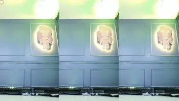 KBJ 세연검둥 m0m099 (19)