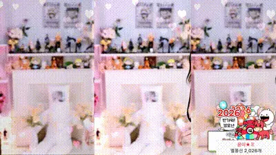 2025-12-31_03-20-10 - hl6260 动图预览