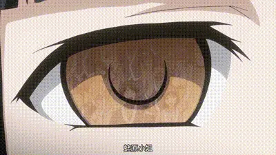 RIN×SEN＋Ran→Sem Cross Mix 1 动图预览