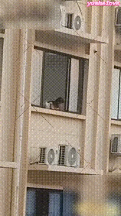东南亚园区女猪仔悲惨实拍 业绩不达标沦为玩物 挨打挨操被疯狂蹂躏 画面极度炸裂！ 动图预览