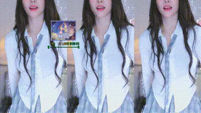 2025-05-21_04-10-53 - dign1461 动图预览