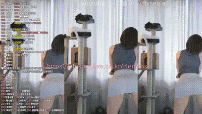 2025-04-21_17-29-29 - rlemaos 动图预览