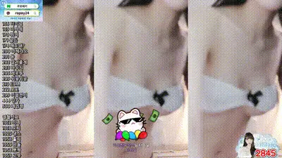 2026-02-07_04-37-36 - yin2618 动图预览