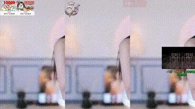 2026-02-07_11-30-12 - dign1461 动图预览
