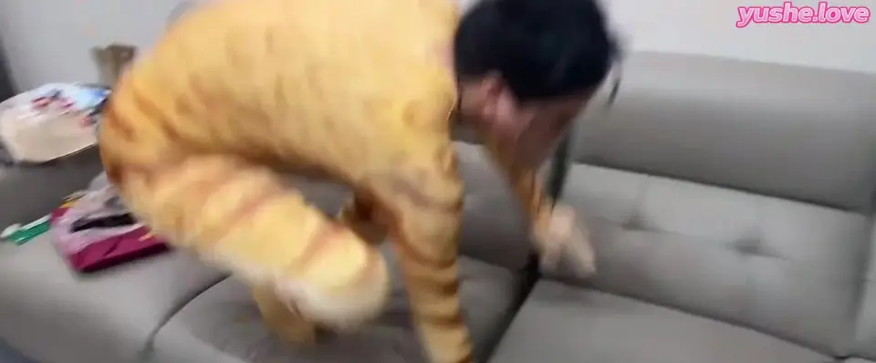 超骚，制服猫猫