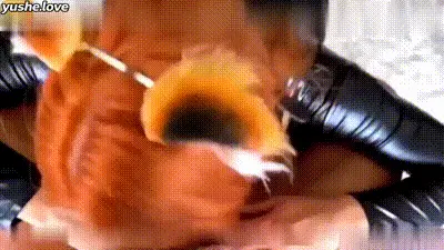 cos精选：皮衣小猫带着皮鞭为调教自己 动图预览