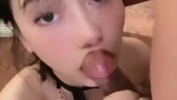 肉欲姐弟 成为弟弟の小狗日记