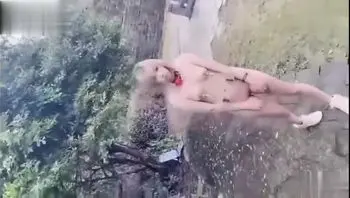 【黑料泄密】网红露娜 户外人前极限调教淫荡露出白虎逼 水桶乳夹叮咣做响 口交视频 流出