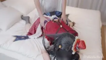 【Aliceholic13】えっちにどハマりしたコスプレイヤーとの快楽イチャラブ記録【個人撮影】Japanese Cosplayer School idol cumshot【ありすほりっく】-aliceholic13