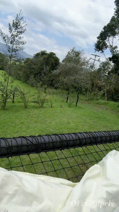 Mis vecinos me observaban mientras me masturbo al aire libre-gigi ulala y mr dick 动图预览