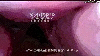 【 小狗PRO 】重口味花式调教 反差拳交 xhs33.top 开发屁眼合集 (33) 动图预览