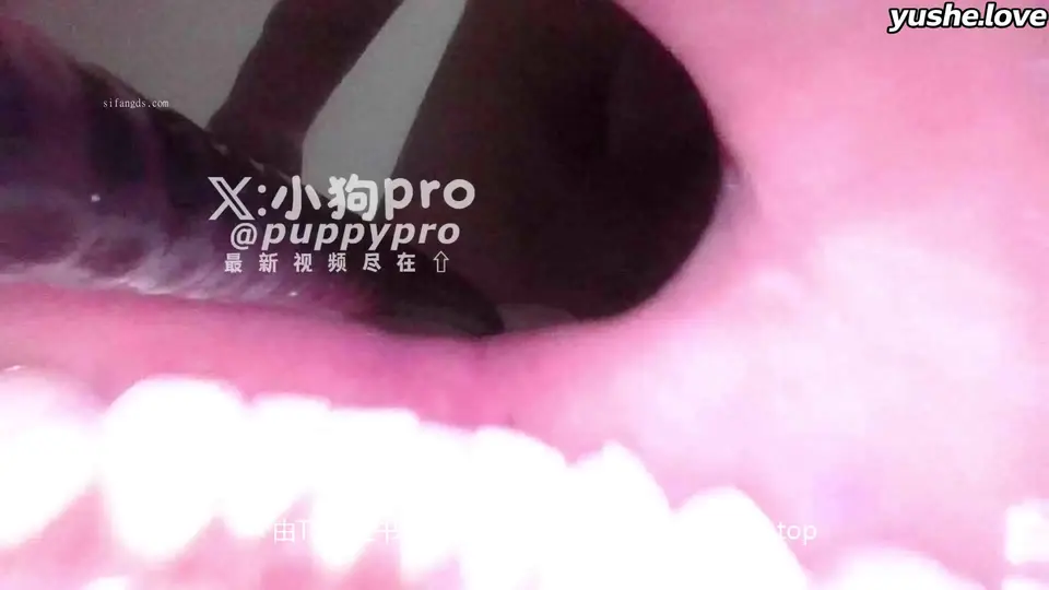 【 小狗PRO 】重口味花式调教 反差拳交 xhs33.top 开发屁眼合集 (81)
