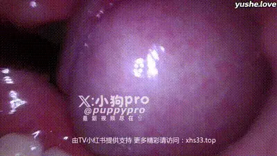 【 小狗PRO 】重口味花式调教 反差拳交 xhs33.top 开发屁眼合集 (81) 动图预览