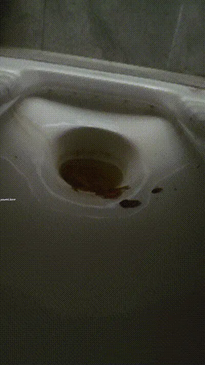 恶心 动图预览
